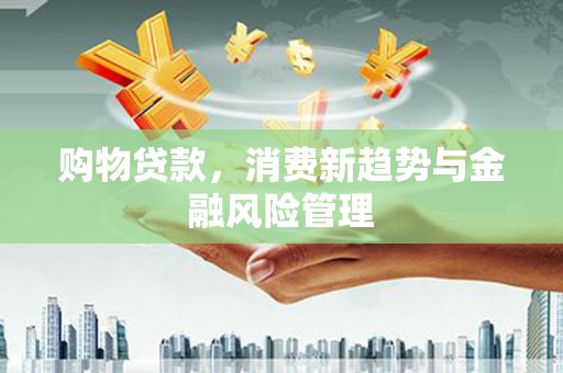 怀化购物贷款，消费新趋势与金融风险管理