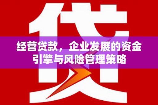 怀化经营贷款，企业发展的资金引擎与风险管理策略