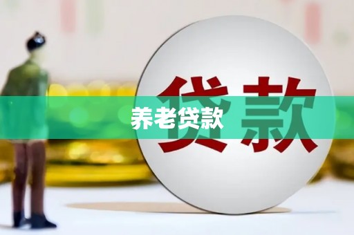 怀化养老贷款