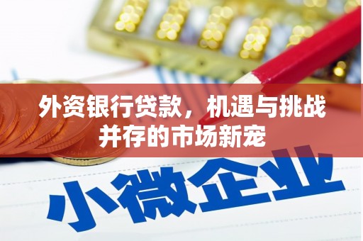 怀化外资银行贷款，机遇与挑战并存的市场新宠