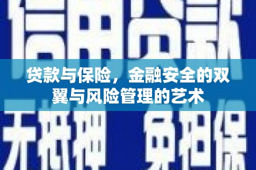怀化贷款与保险，金融安全的双翼与风险管理的艺术