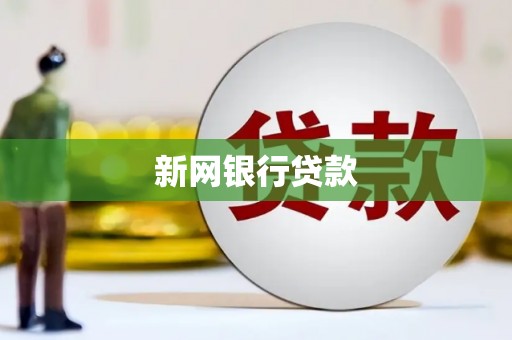 怀化新网银行贷款