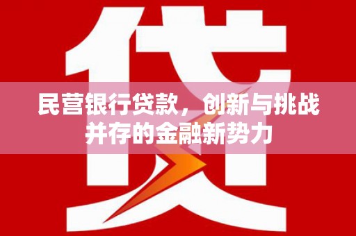 怀化民营银行贷款，创新与挑战并存的金融新势力