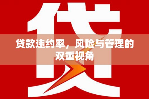 怀化贷款违约率，风险与管理的双重视角