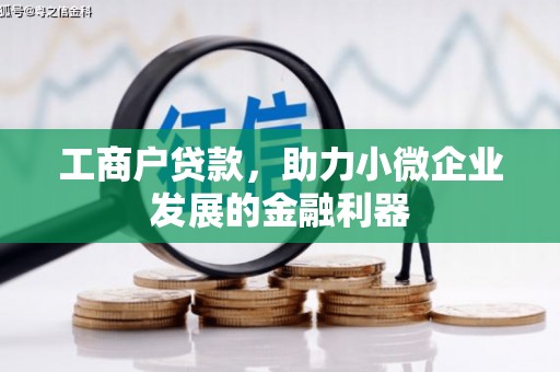 怀化工商户贷款,助力小微企业发展的金融利器 怀化工商户贷款,助力小微企业发展的金融利器