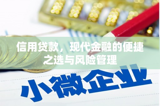 怀化信用贷款，现代金融的便捷之选与风险管理