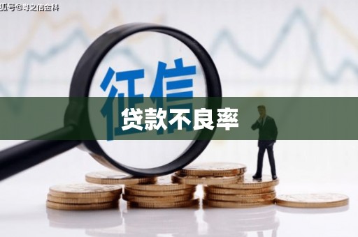 怀化贷款不良率