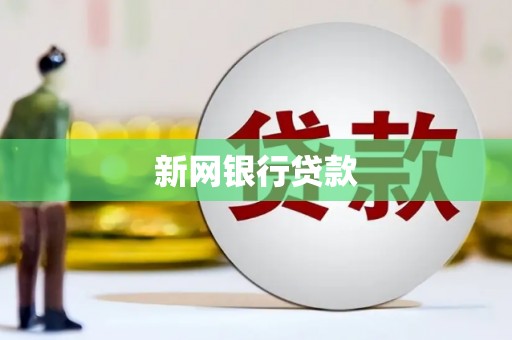 怀化新网银行贷款