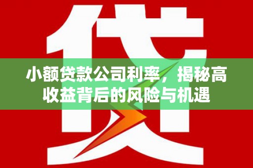 怀化小额贷款公司利率，揭秘高收益背后的风险与机遇