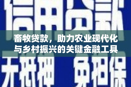怀化畜牧贷款，助力农业现代化与乡村振兴的关键金融工具