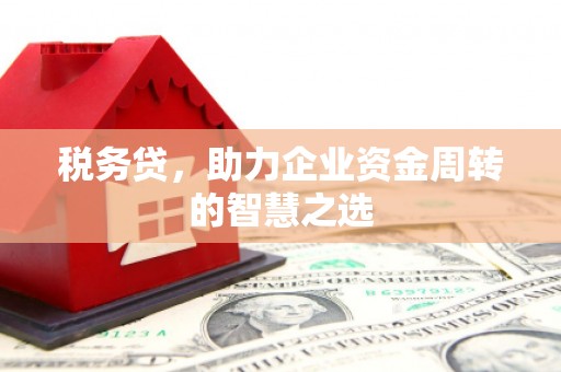怀化税务贷，助力企业资金周转的智慧之选