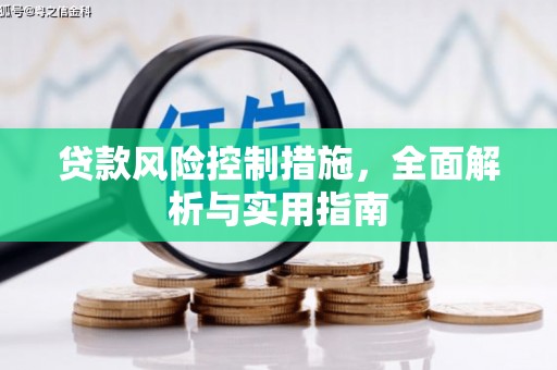 怀化贷款风险控制措施，全面解析与实用指南