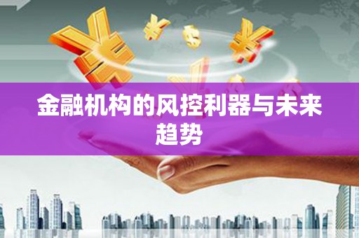 怀化金融机构的风控利器与未来趋势