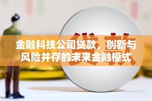 怀化金融科技公司贷款，创新与风险并存的未来金融模式