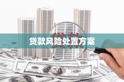 怀化贷款风险处置方案