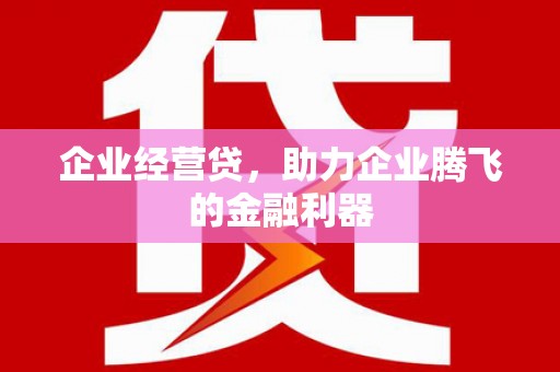 怀化企业经营贷，助力企业腾飞的金融利器