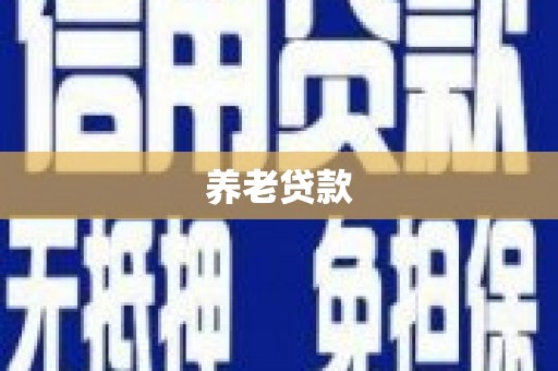 怀化养老贷款