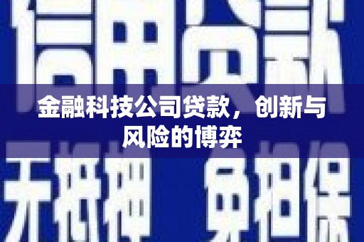 怀化金融科技公司贷款，创新与风险的博弈