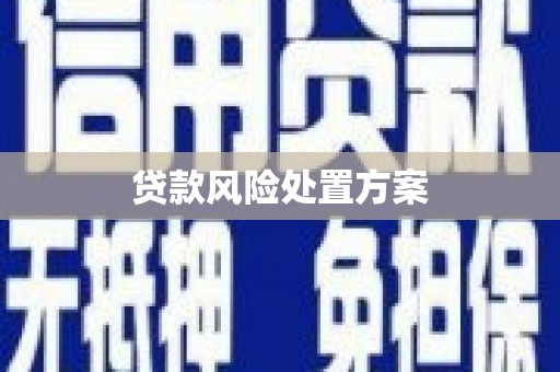 怀化贷款风险处置方案