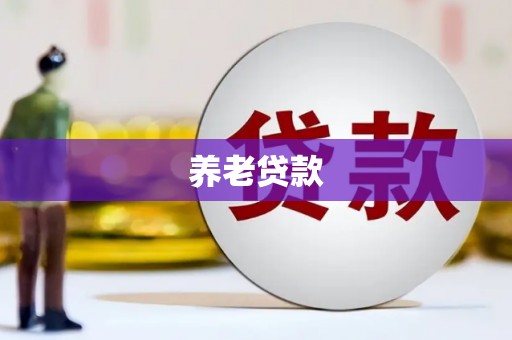 怀化养老贷款
