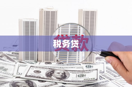 怀化税务贷