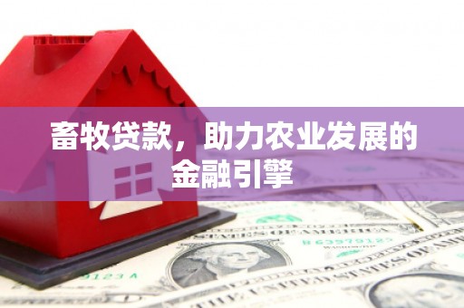 怀化畜牧贷款，助力农业发展的金融引擎