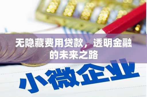 怀化无隐藏费用贷款，透明金融的未来之路