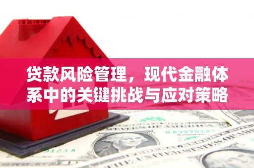 怀化贷款风险管理，现代金融体系中的关键挑战与应对策略