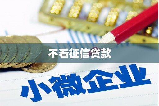 怀化不看征信贷款