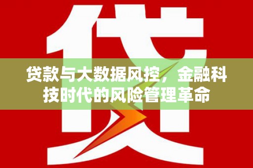 怀化贷款与大数据风控，金融科技时代的风险管理革命