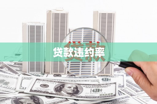 怀化贷款违约率
