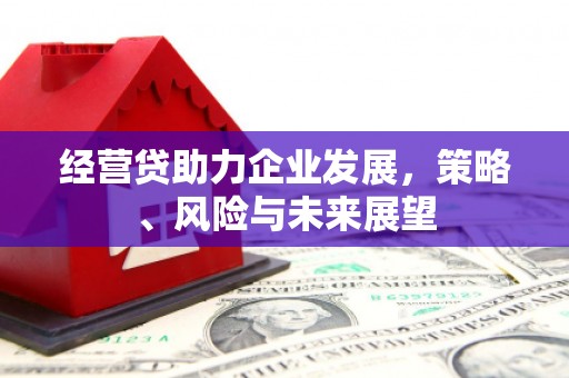 怀化经营贷助力企业发展，策略、风险与未来展望