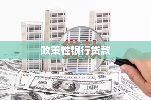 怀化政策性银行贷款