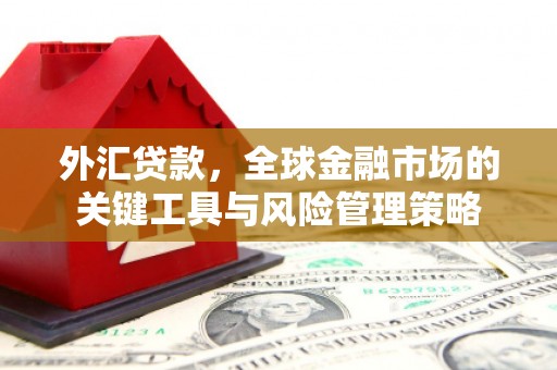 怀化外汇贷款，全球金融市场的关键工具与风险管理策略