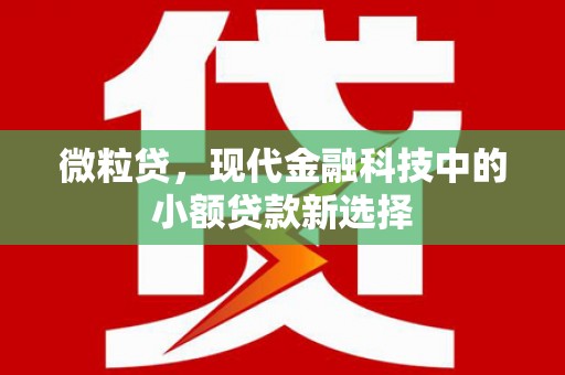 怀化微粒贷，现代金融科技中的小额贷款新选择