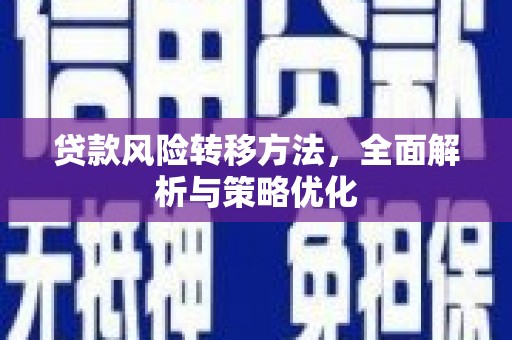 怀化贷款风险转移方法，全面解析与策略优化