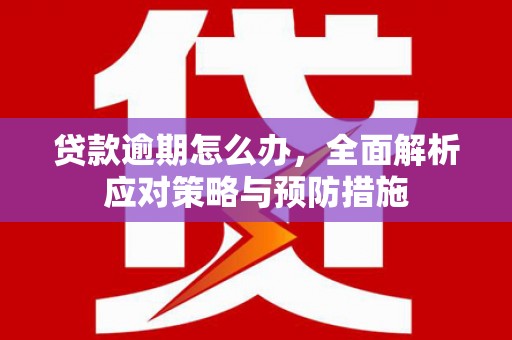 怀化贷款逾期怎么办，全面解析应对策略与预防措施