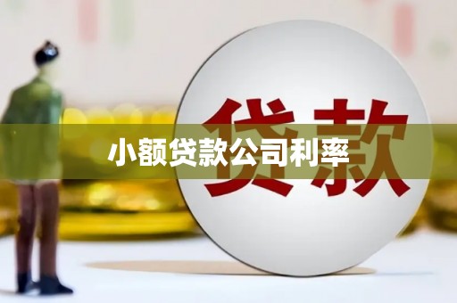 怀化小额贷款公司利率