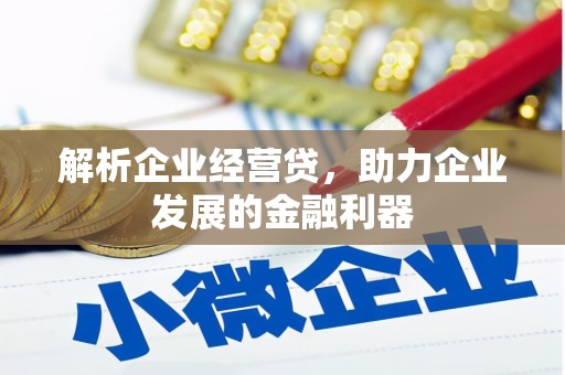 怀化解析企业经营贷，助力企业发展的金融利器