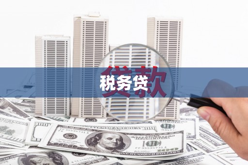 怀化税务贷