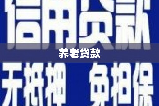 怀化养老贷款
