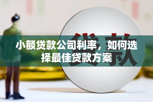 怀化小额贷款公司利率，如何选择最佳贷款方案