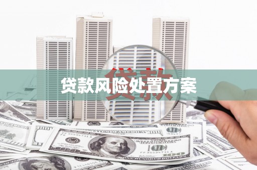 怀化贷款风险处置方案