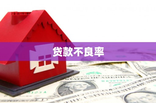 怀化贷款不良率