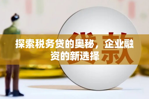 怀化探索税务贷的奥秘，企业融资的新选择