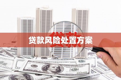 怀化贷款风险处置方案