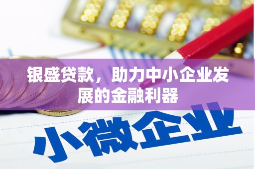 怀化银盛贷款，助力中小企业发展的金融利器
