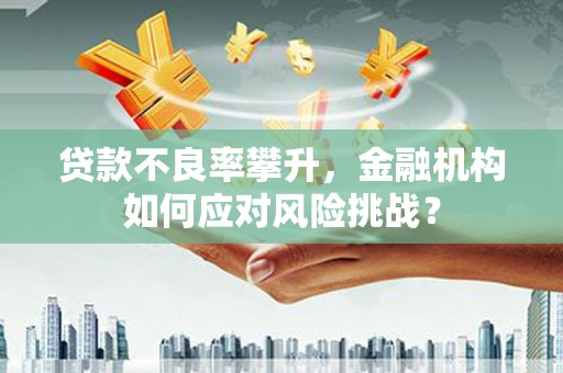 怀化贷款不良率攀升，金融机构如何应对风险挑战？