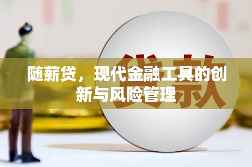 怀化随薪贷，现代金融工具的创新与风险管理
