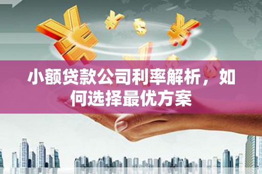 怀化小额贷款公司利率解析，如何选择最优方案